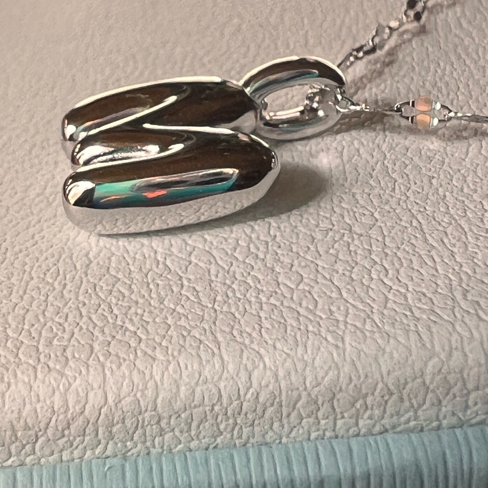 Rachel Zoe Sterling Silver Initial Necklace- M - Picture 3 of 6